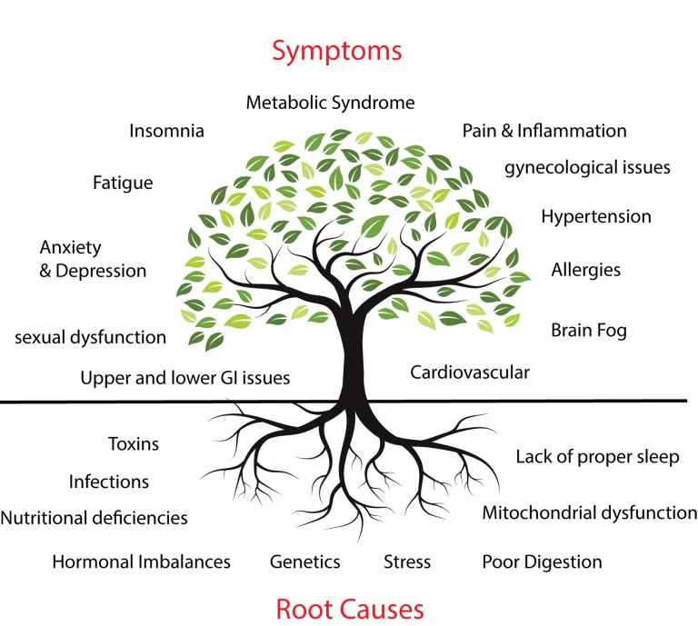 nutritional therapy 768x689 1